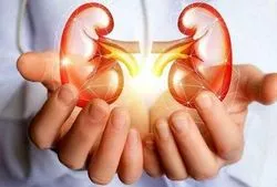 چطور مانع از کار افتادگی کلیه هایمان شویم؟