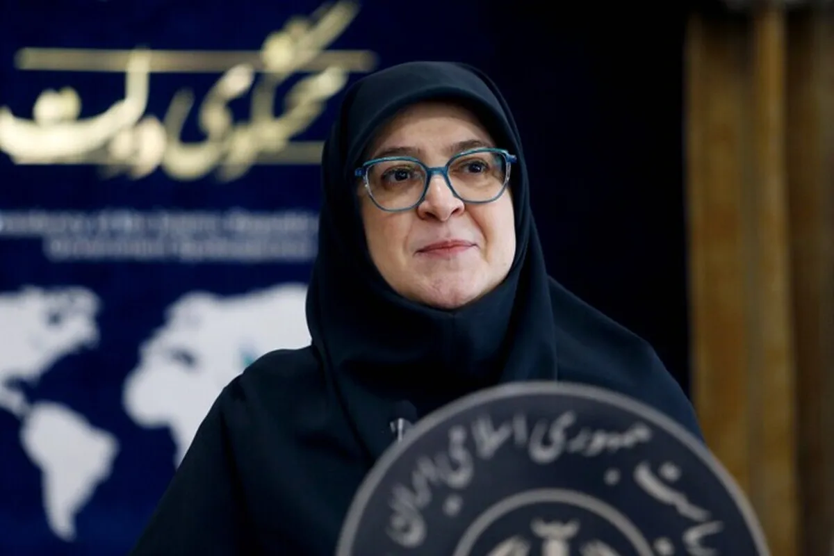 توضیحات سخنگوی دولت درباره همکاری اقتصادی بابک زنجانی با دولت