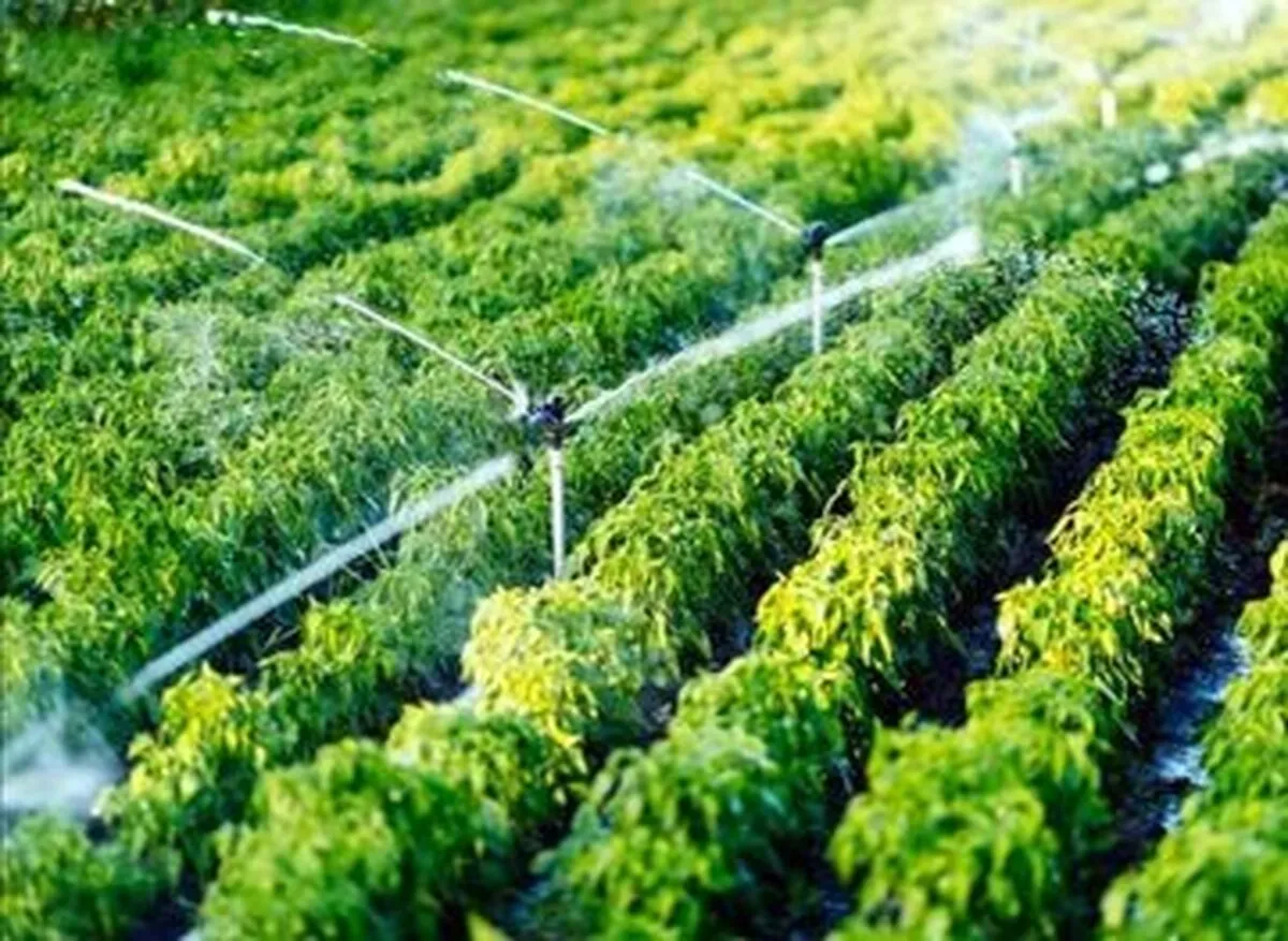 تقاضای یک کشاورز: برق ما را قطع نکنید
