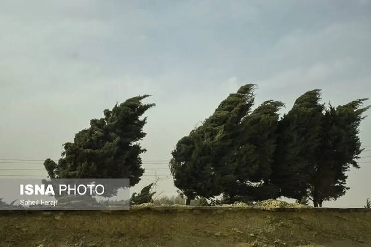 گرد و غبار چگونه شکل می‌گیرد؟