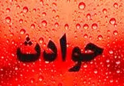 بی توجهی به دستور ایست پلیس منجر به حادثه شد