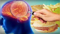 مختل شدن عملکرد مغز با مصرف فست فود‌ها