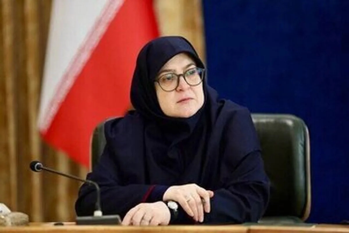 سخنگوی دولت: مجوز خرید دو فروند هواپیمای ایرباس تصویب شد
