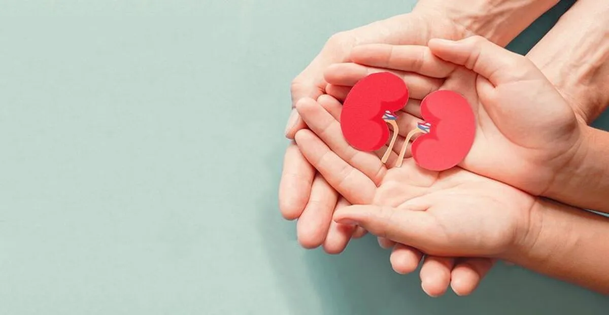 پیوند کلیه از اهداکننده مبتلا به کووید خطرناک است