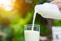 فواید مصرف لبنیات برای کاهش خطر ابتلا به فشار خون و دیابت